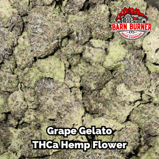 Grape Gelato Buds THCa Hemp Flower