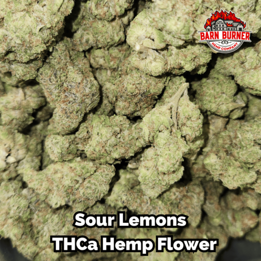 Sour Lemons THCa Flower Buds